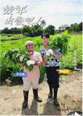 最后一班渡轮 现实题材完结小说