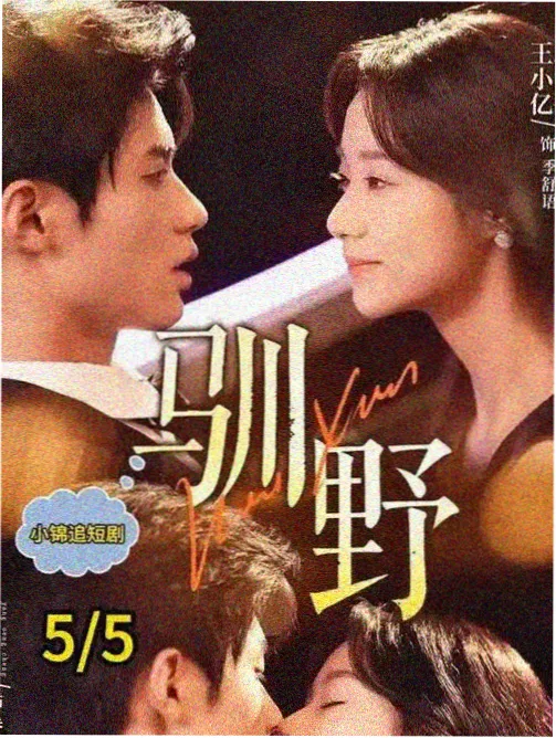 小说阅读免费大全 冷门题材 推荐